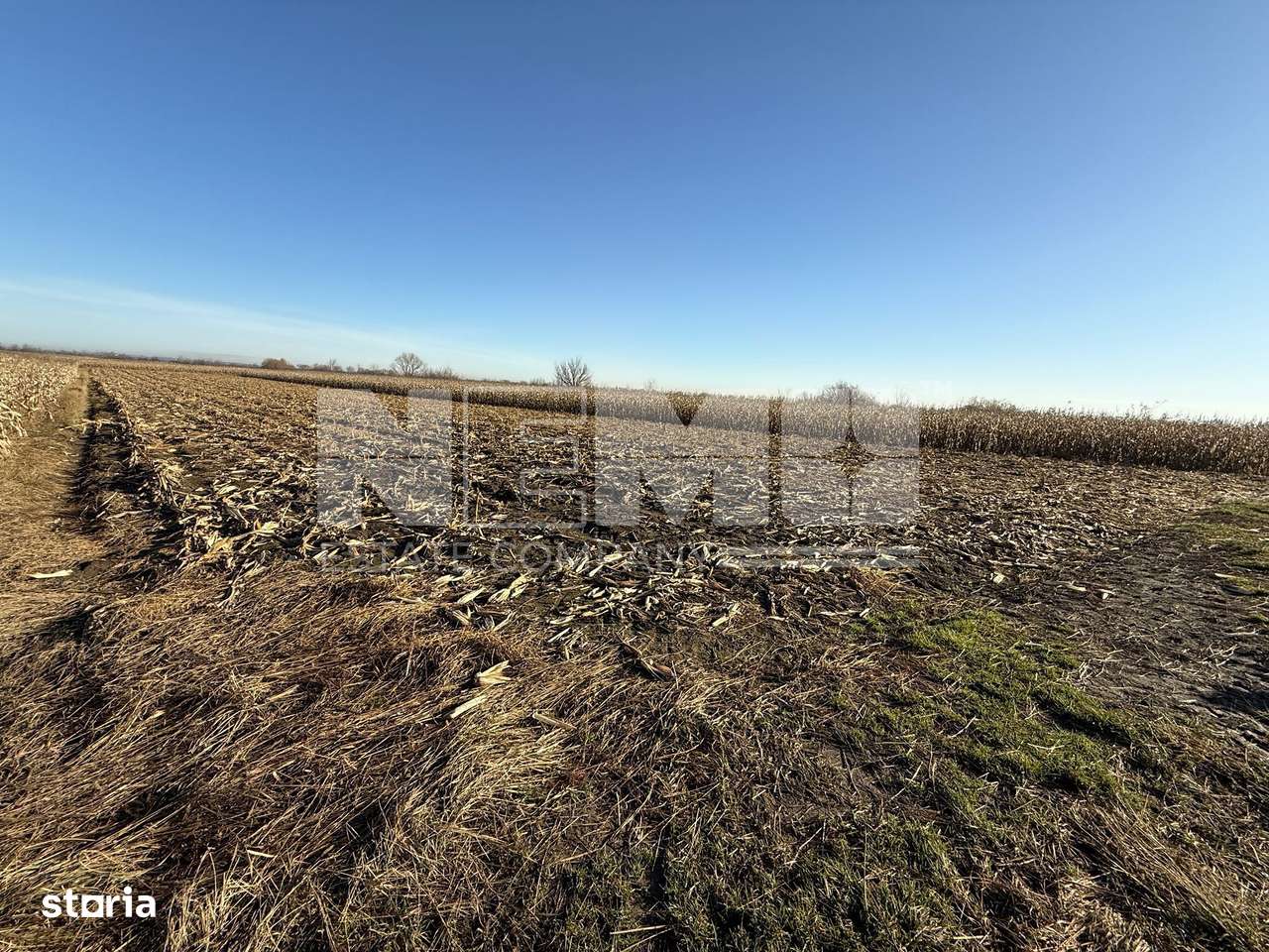 TEREN EXTRAVILAN  51 ARI |  HORODNIC DE JOS  | - Imagine principală: 5/10