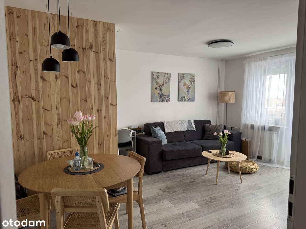 Słoneczne mieszkanie w doskonałej lokalizacji