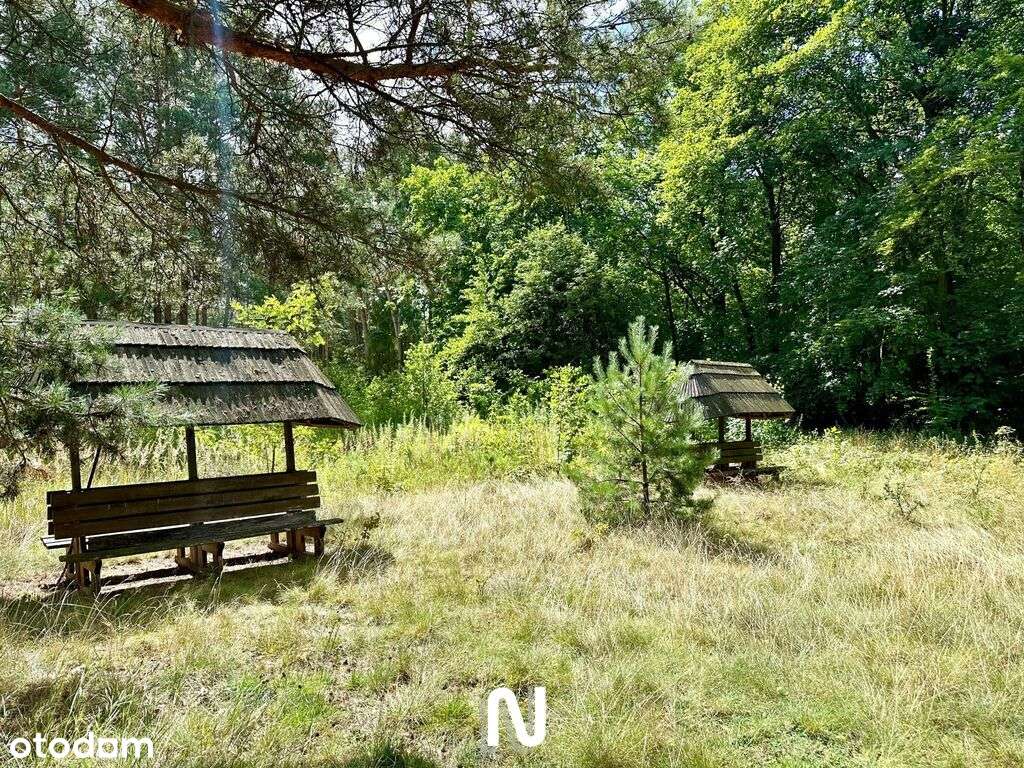 Wyjątkowy teren w doskonałej lokalizacji!-14