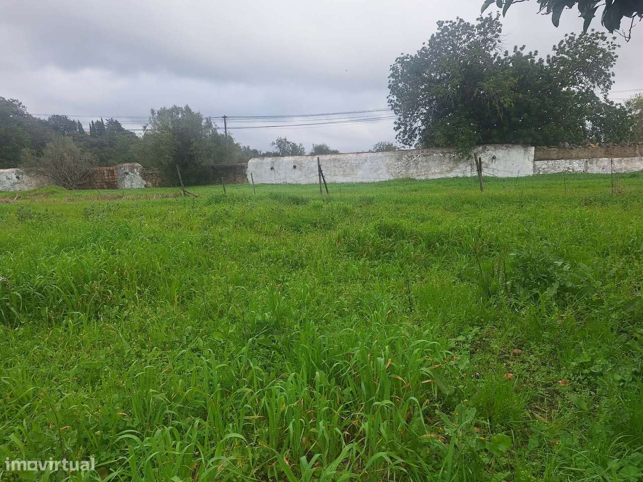 Edificio urbano - Antiga fábrica de cortiça em São Brás de Alportel-14