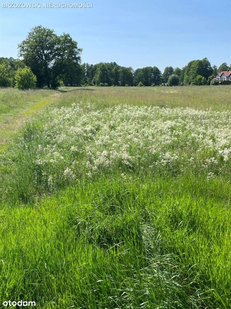 Białołęka, 2,76 ha, ok. 32 budynki dwulokalowe-4