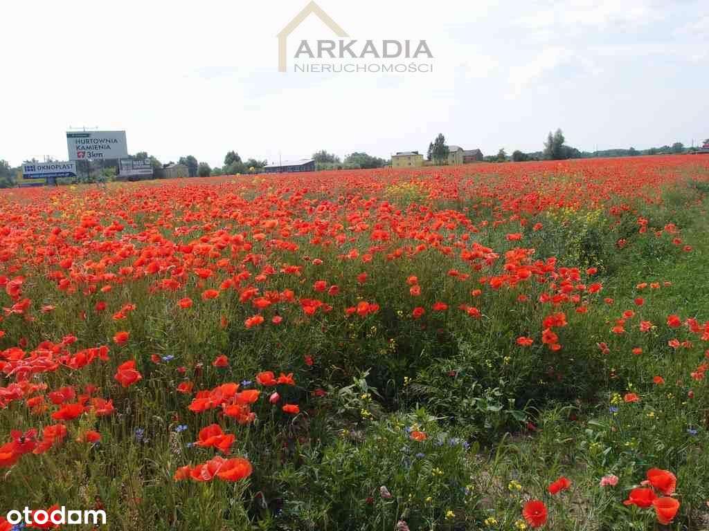 Duża wąska działka nad Wisłą - Pełny obrazek: 4/5