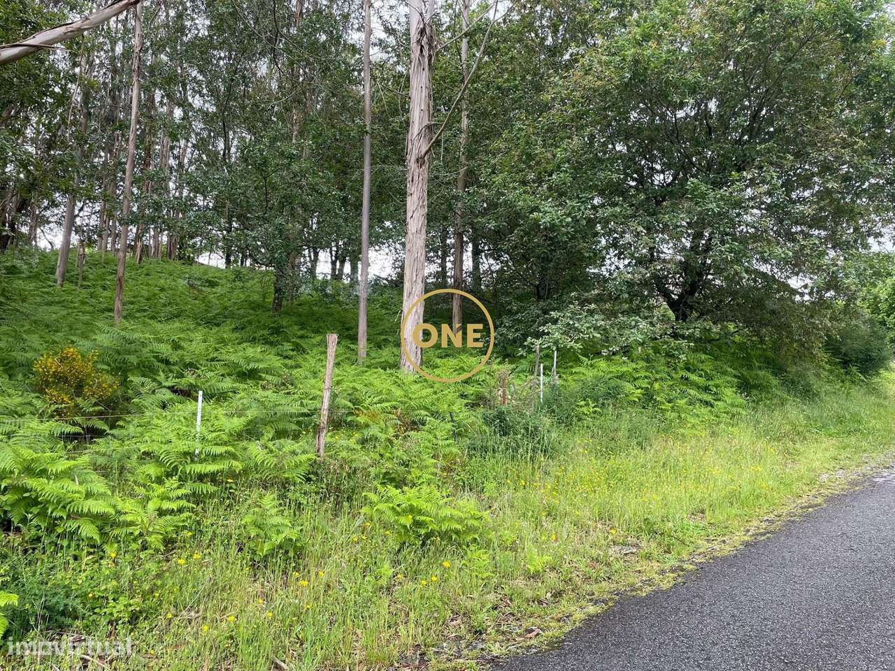 Venda Terreno - Grande imagem: 3/11