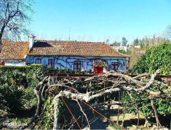Quintinha para restauro 2 quartos em Penafiel -SD/04531/MH - Grande imagem: 2/7