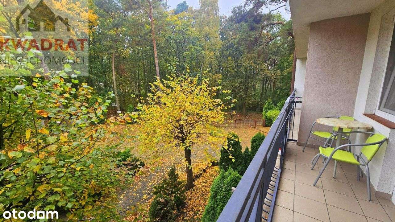 2 pokojowy apartament w Krynicy Morskiej blisko pl-12