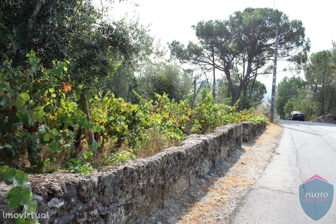 Terreno  Venda em Faíl e Vila Chã de Sá,Viseu