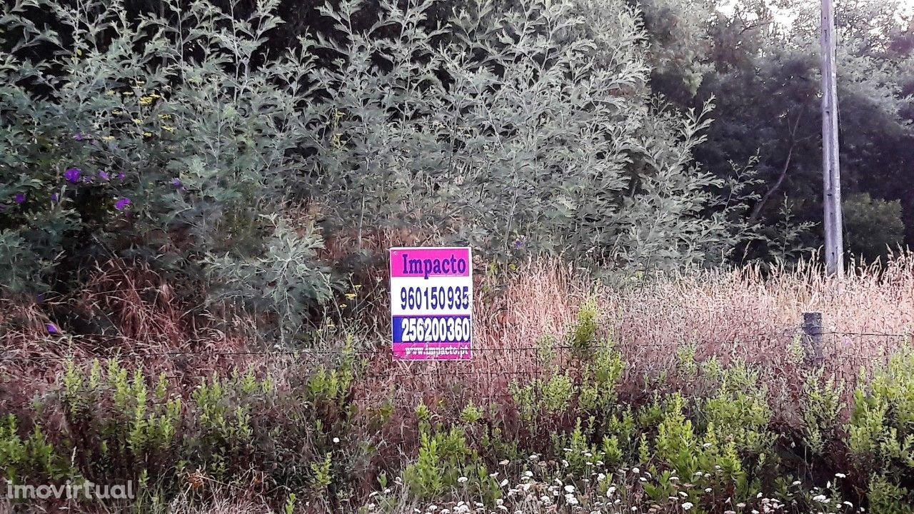 Terreno  Venda em Oliveira de Azeméis, Santiago de Riba-Ul, Ul, Macinh