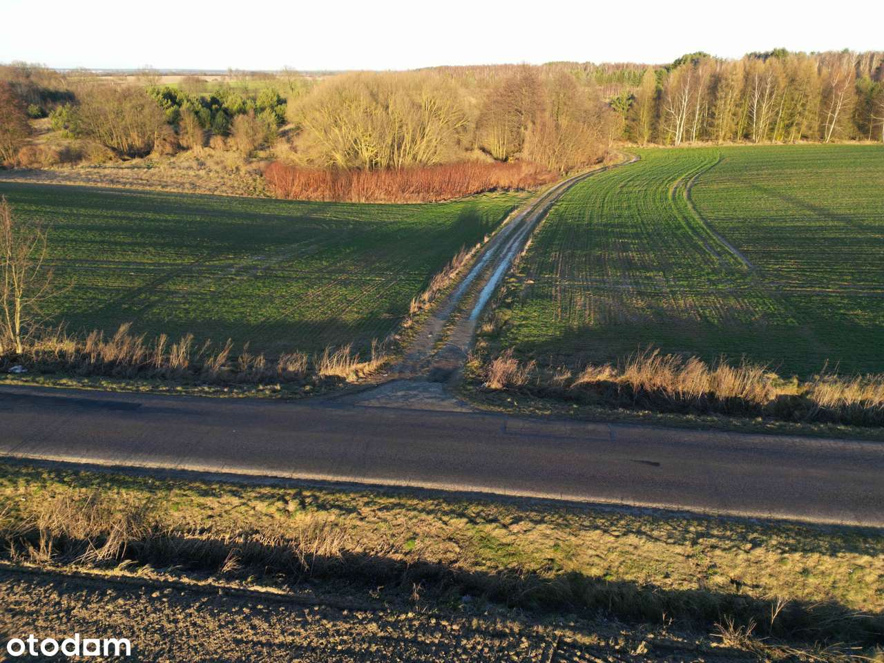 Działka rolna 10140 m2 Nienawiszcz gm. ROGOŹNO-4
