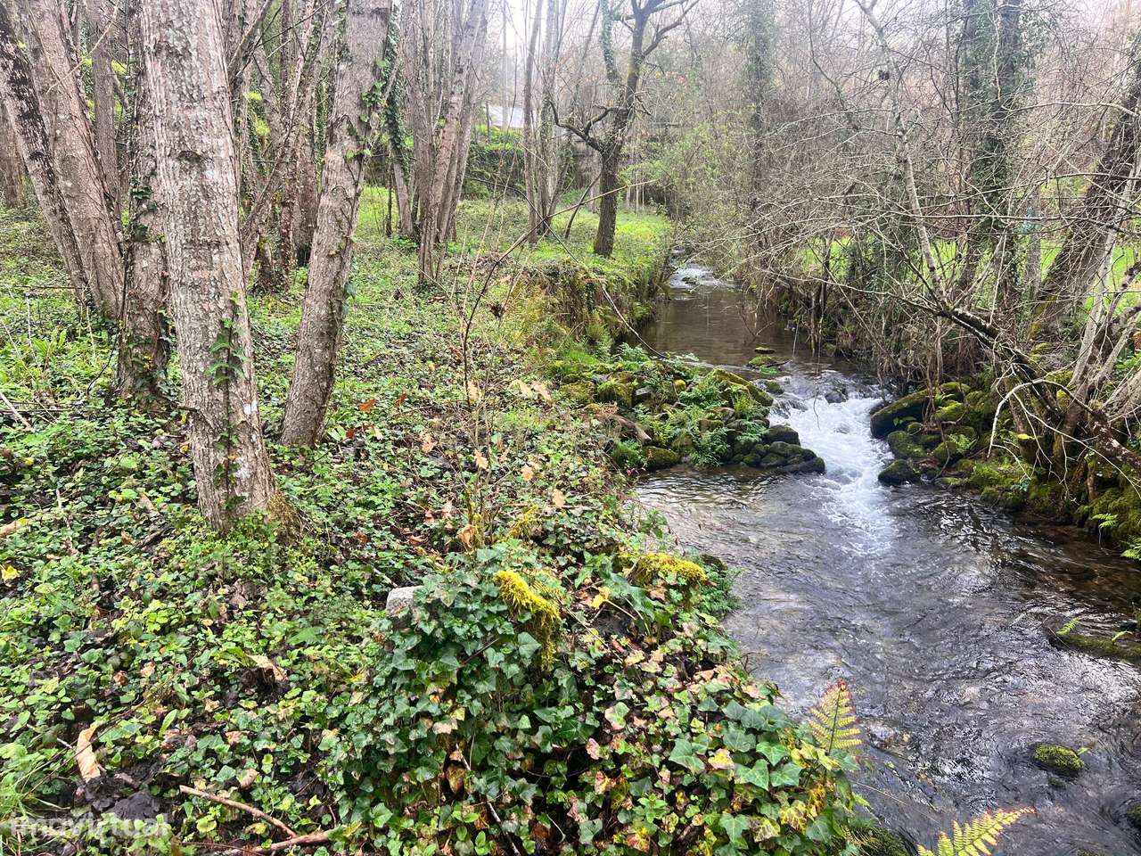 Moradia junto a rio, para recuperar e com projeto aprovado – Vilar, Sã - Grande imagem: 4/43