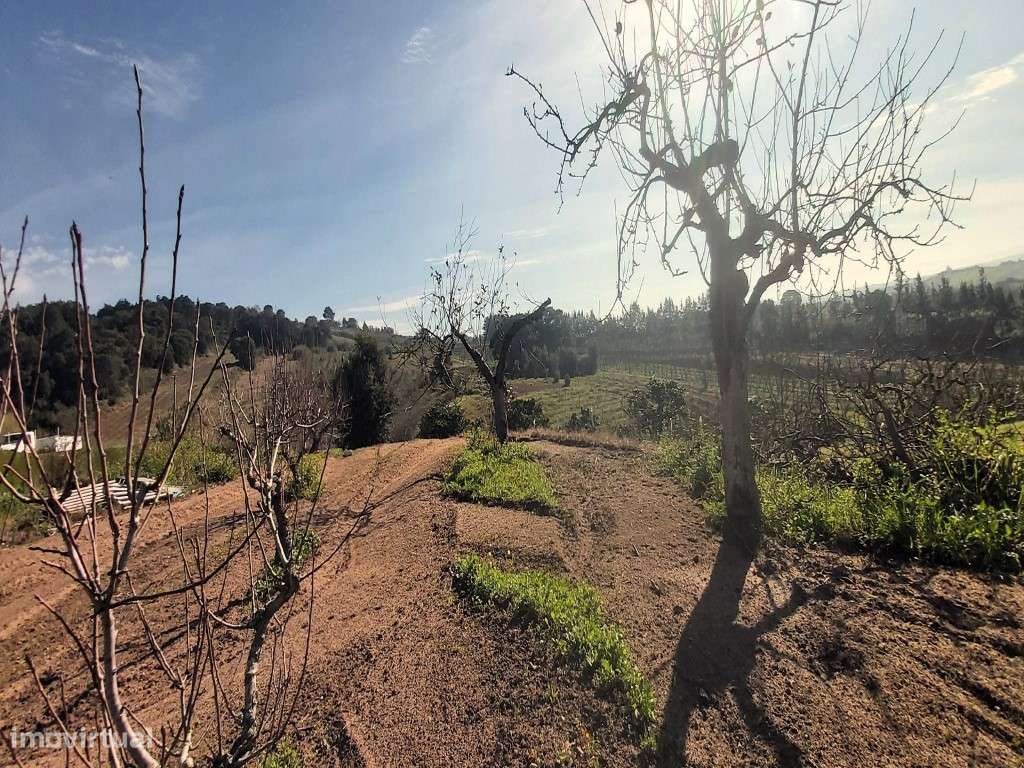 Terreno urbano com 12.560m2, Delgada - Grande imagem: 4/7