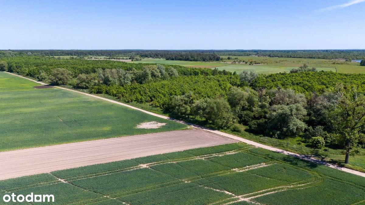 Chludowo, Budowlana, ul. Maniewska. 1200 m2. MPZP-10