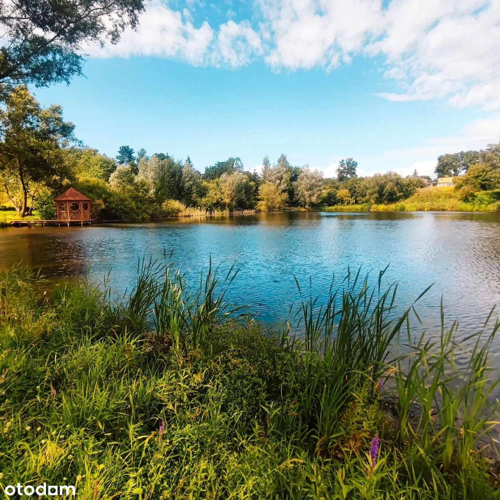 Pojezierze Iławskie - blisko las, jezioro, zamek, staw, MPZP, media-10