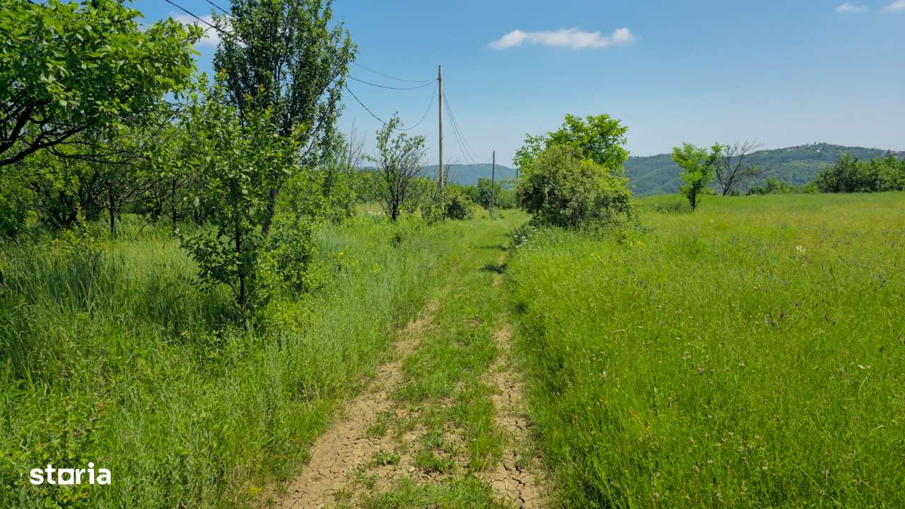 Teren de vânzare – 6.352 mp – Slavu (Prahova), cu vedere superbă - Imagine principală: 5/7