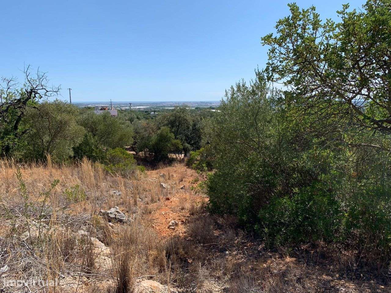 Terreno Urbano, com 3 artigos, Colmeal-33