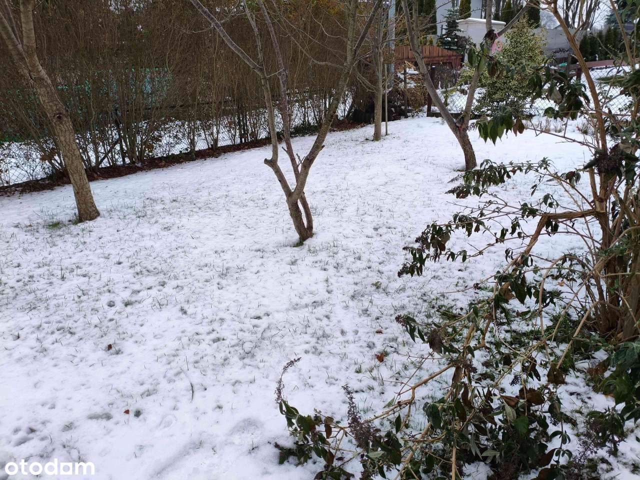 Działka ROD Cumulus ul. Notecka!! Cena do negocjacji!-4