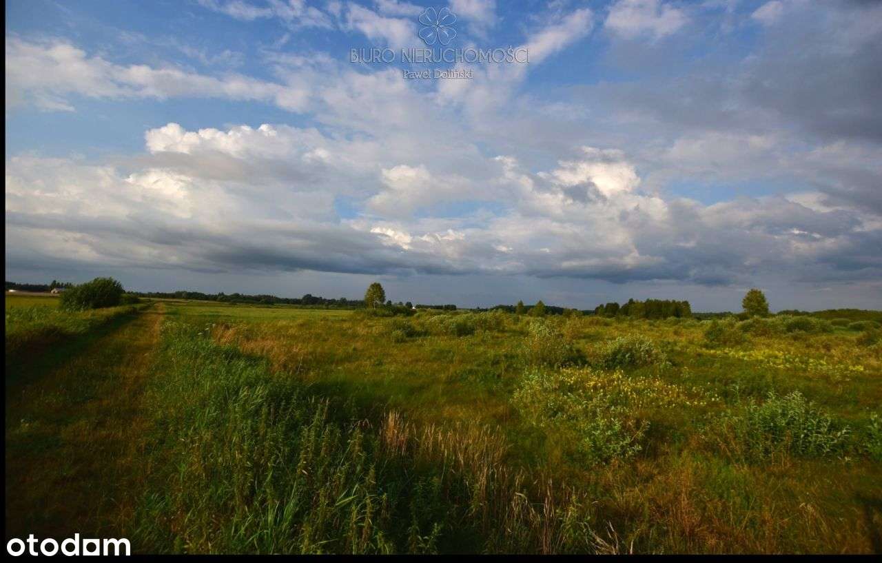 Działka rolna Istok - Pełny obrazek: 5/6