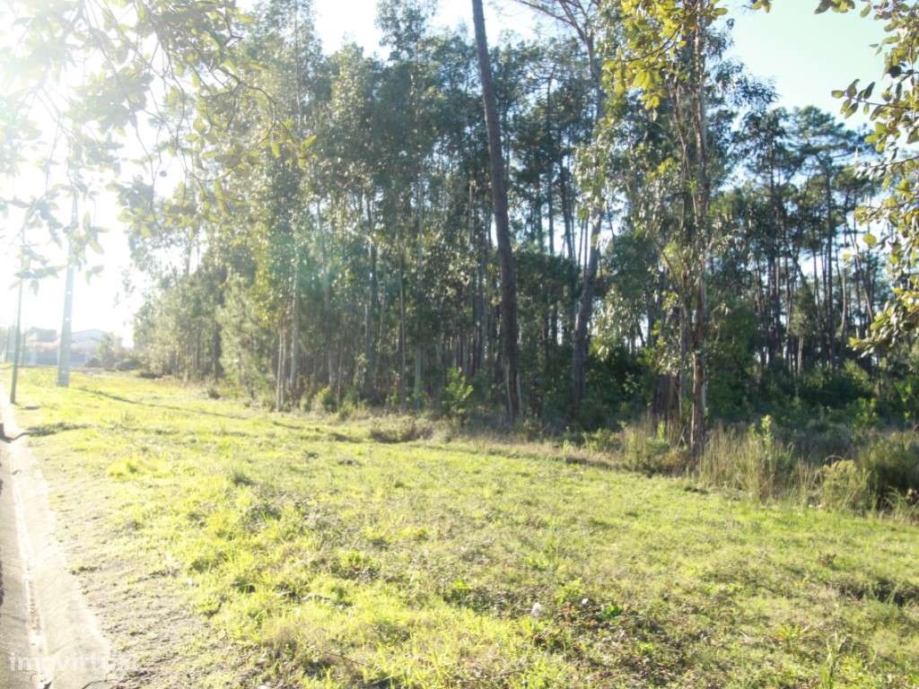 Terreno Rústico c/ 11000 m2 - Grande imagem: 4/5