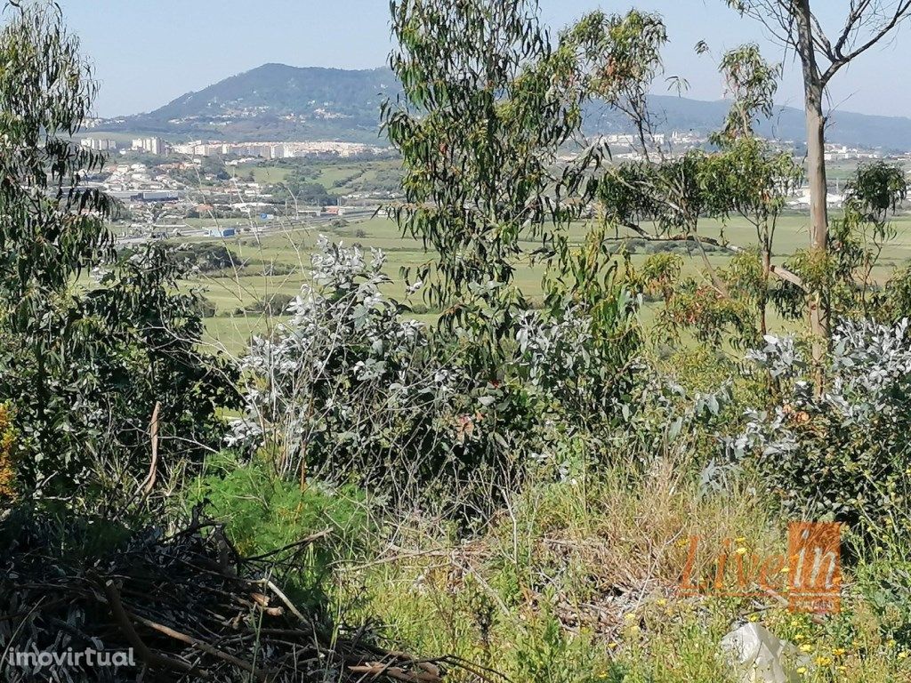 Terreno Rústico em Pêro Pinheiro com 19.000m2