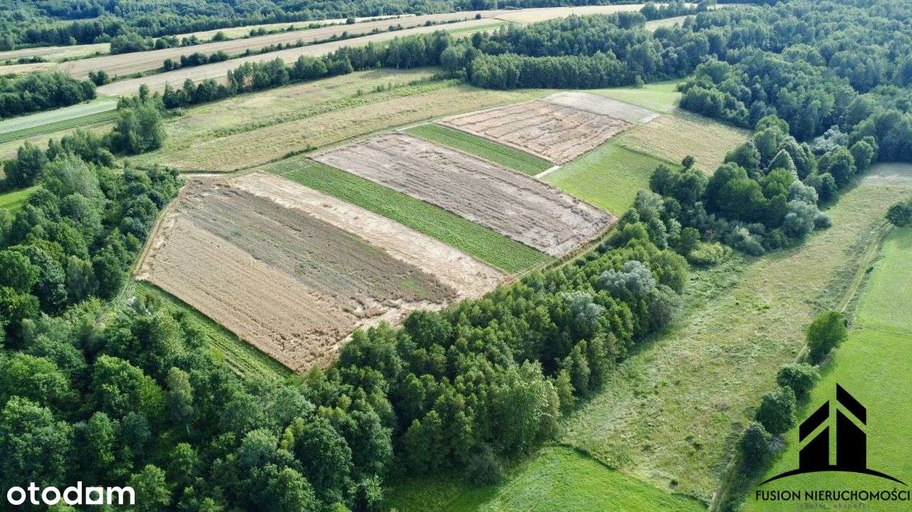 Urokliwa działka z potencjałem | 7842 m² | Łubno,-5