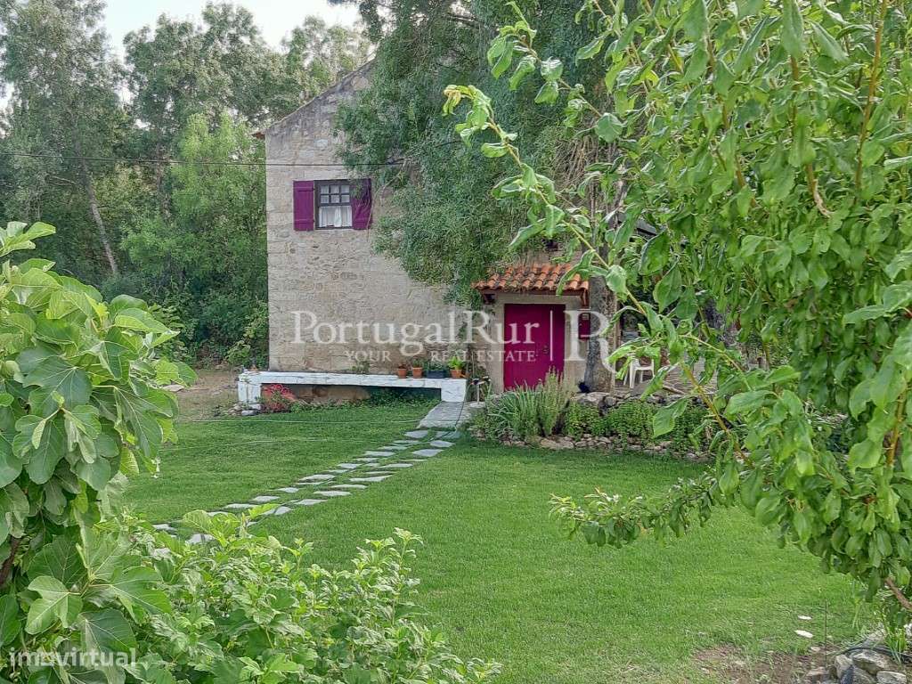 Quinta Rural 8.000 m2 - 2 Casas Habitáveis - confina com Ribeira-23