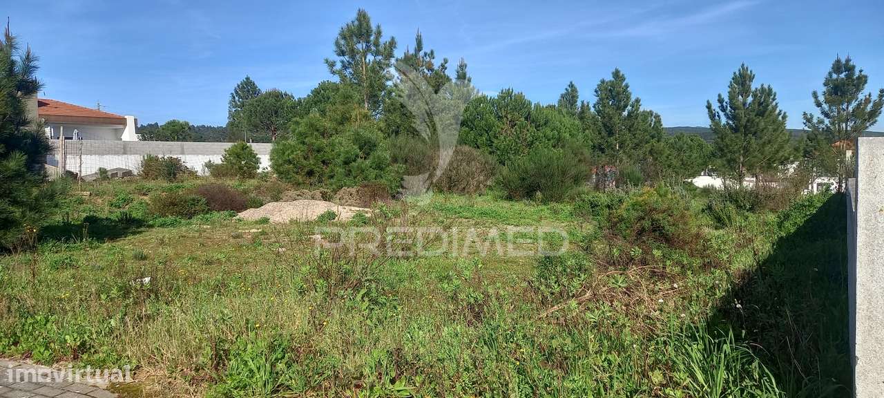 Lote de Moradia - Grande imagem: 3/6