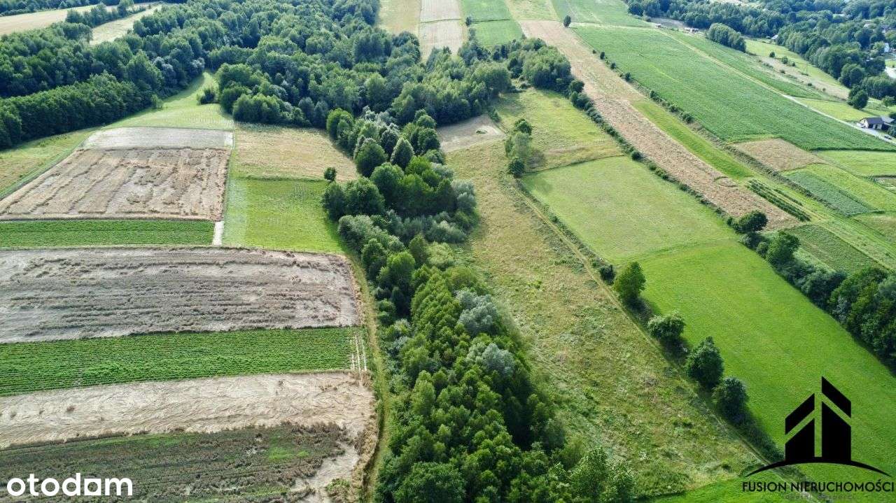 Urokliwa działka z potencjałem | 7842 m² | Łubno,-2