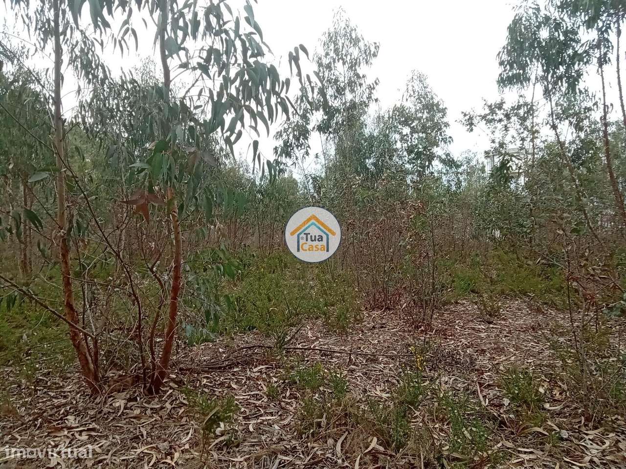 Terreno rústico com viabilidade de construção em Águeda - Grande imagem: 4/16