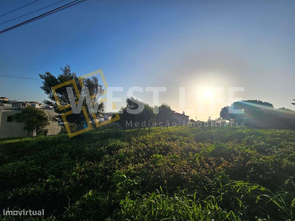 Moradia T4 de estilo contemporâneo com piscina - Ericeira-16