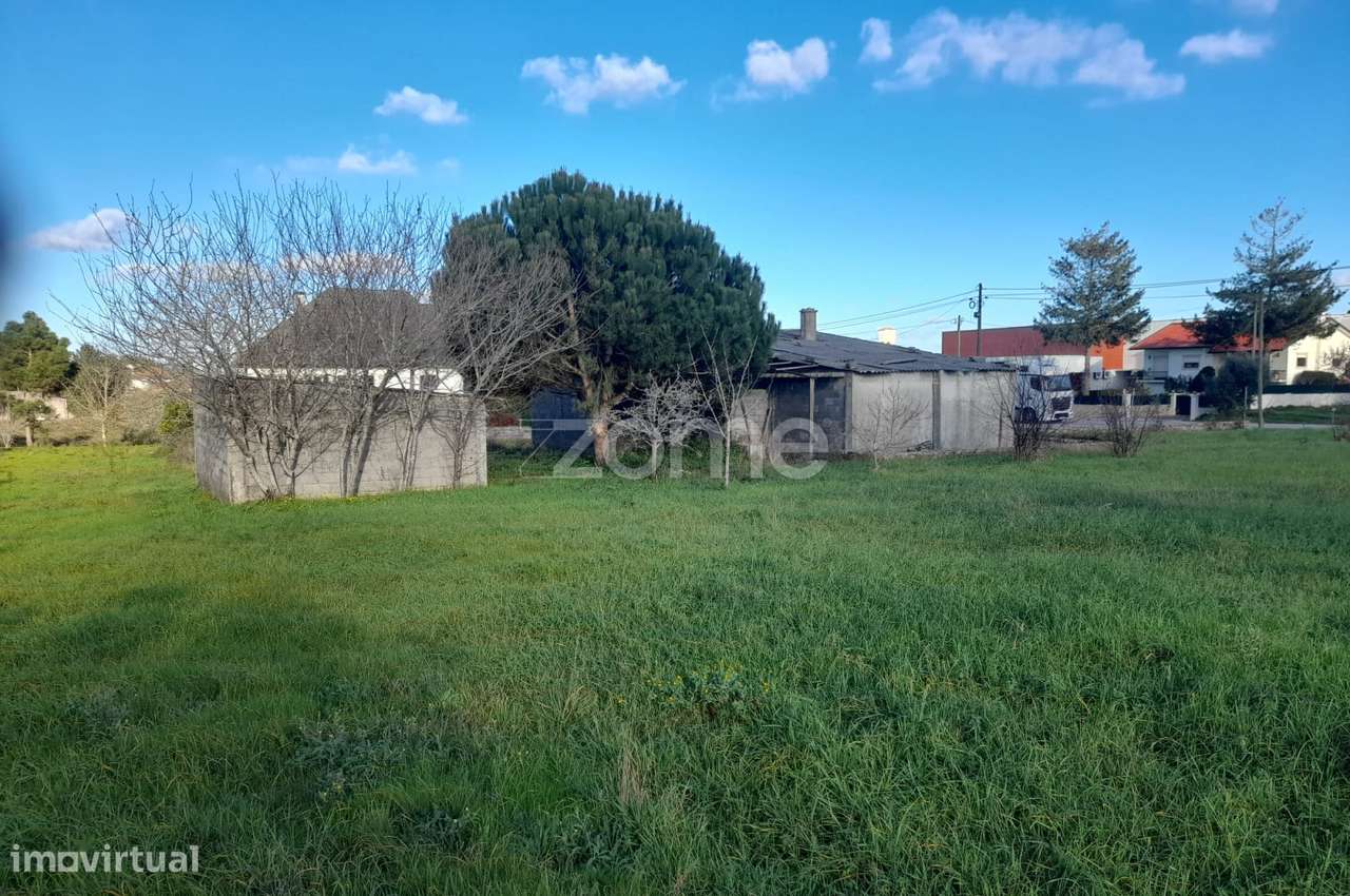 Armazém com terreno para construção junto ao IC2 - Grande imagem: 3/19