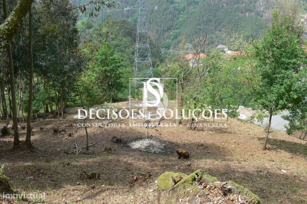 Terreno Não definido em Salamonde-8