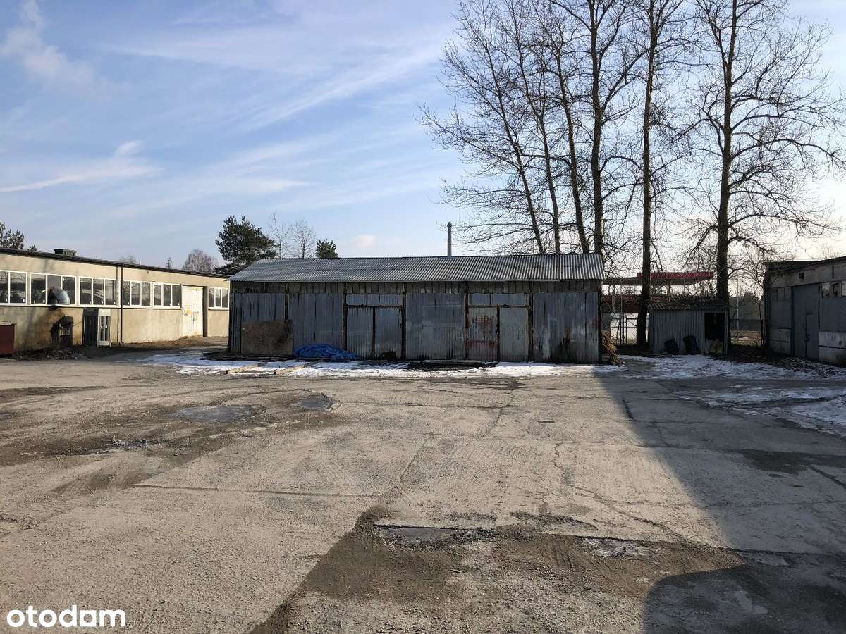 Hala 996 m², produkcja, magazyn, warsztat, Hurtownia, usługi - Pełny obrazek: 4/17
