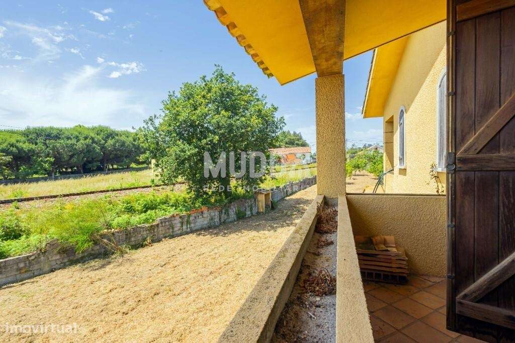 Oportunidade em Azurva – Moradia Isolada com Grande Terreno!-42