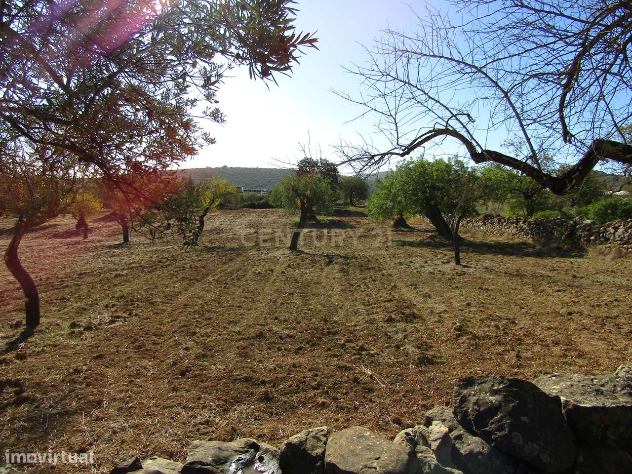 Terreno Misto em S.Brás do Alportel - Grande imagem: 4/10