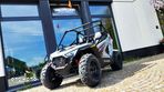 Polaris RZR - 1