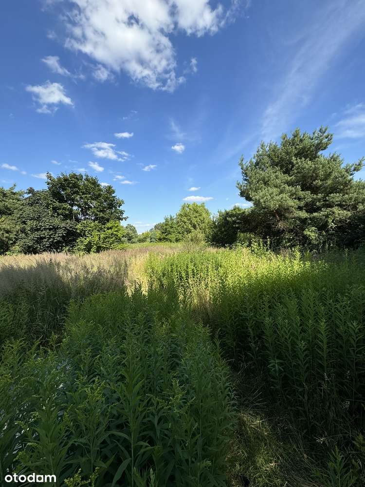 Działka Inwestycyjna Stary Imielin, Ursynów, Obok Jeziorko imielińskie - Pełny obrazek: 5/9