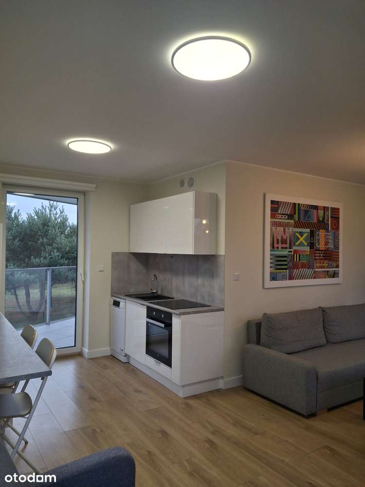 Apartament 45 m² - Gdańsk, ul. Zeusa - Pełny obrazek: 4/9