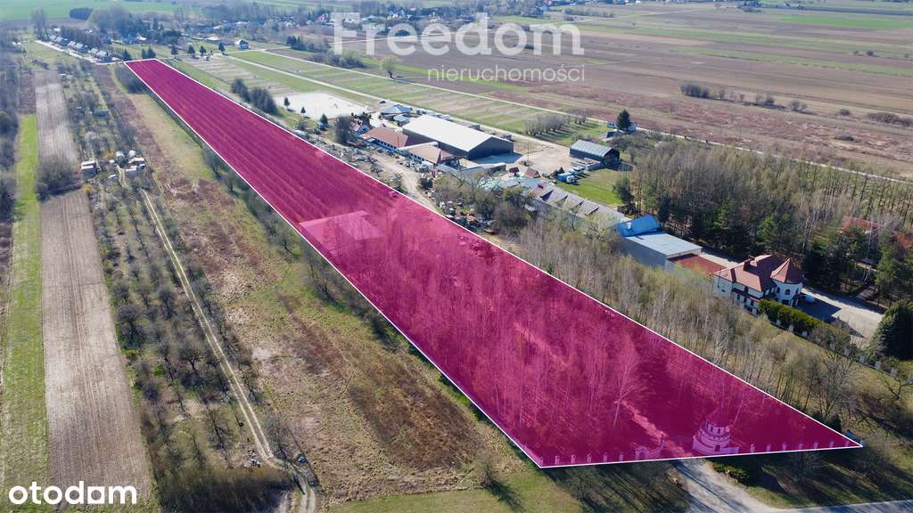 Teren 2,2 ha Czernidła obok Konstancina Jeziorna - Pełny obrazek: 4/16