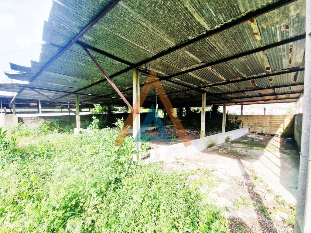 Maravilhosa quinta com casa e terreno-21