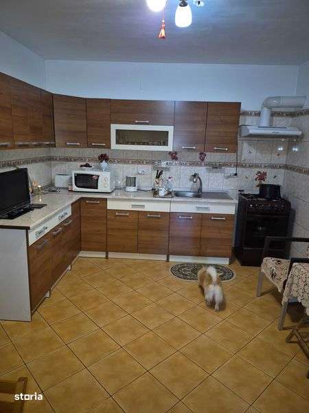 casa si teren aproape de  padure - Imagine principală: 4/8