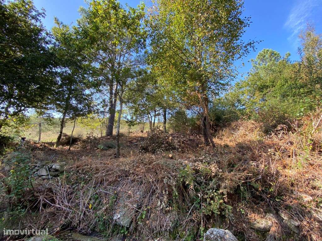 Terreno para construção. - Grande imagem: 3/10