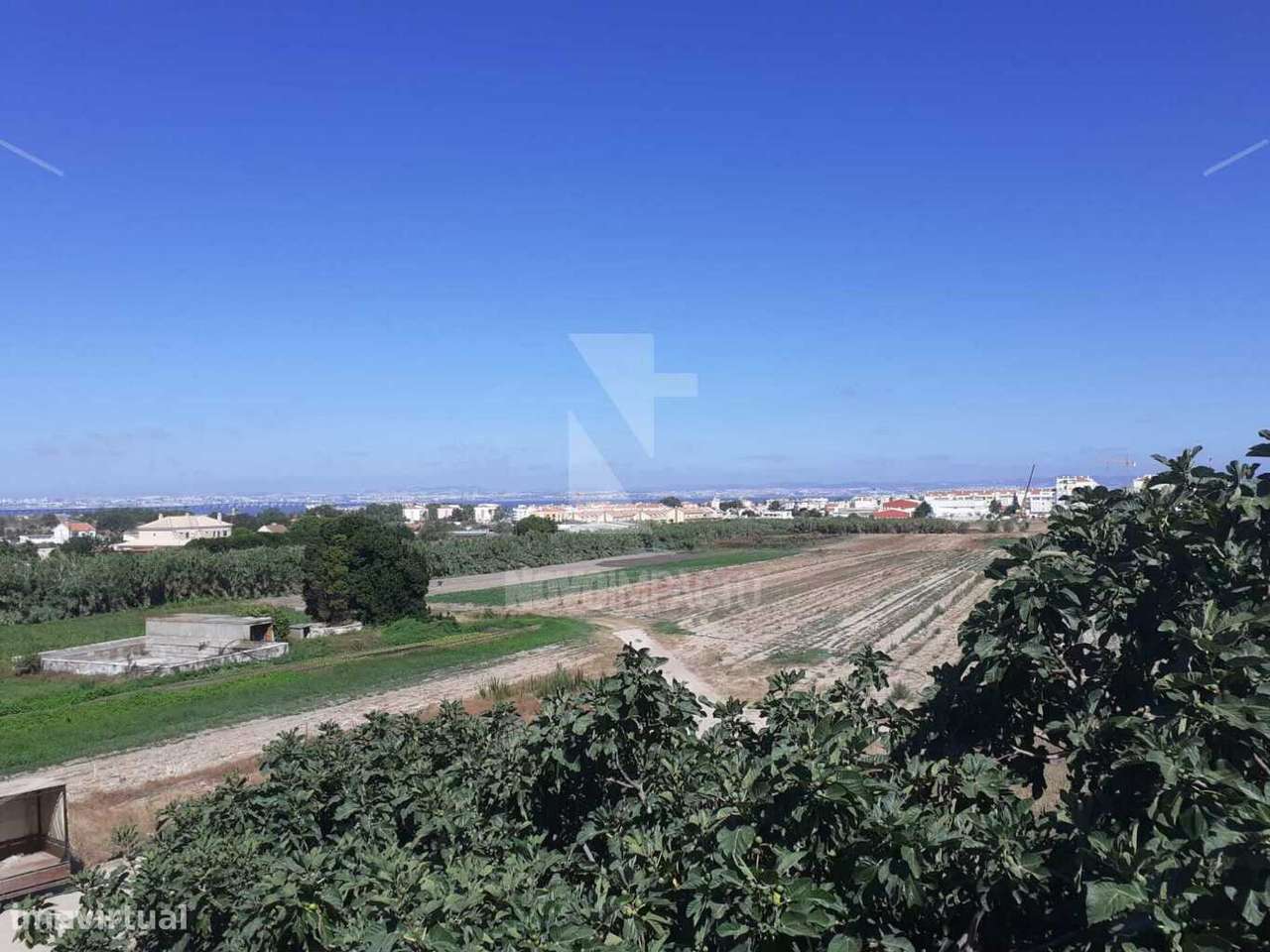 Alcochete - Quinta com 11 ha - Grande imagem: 3/22