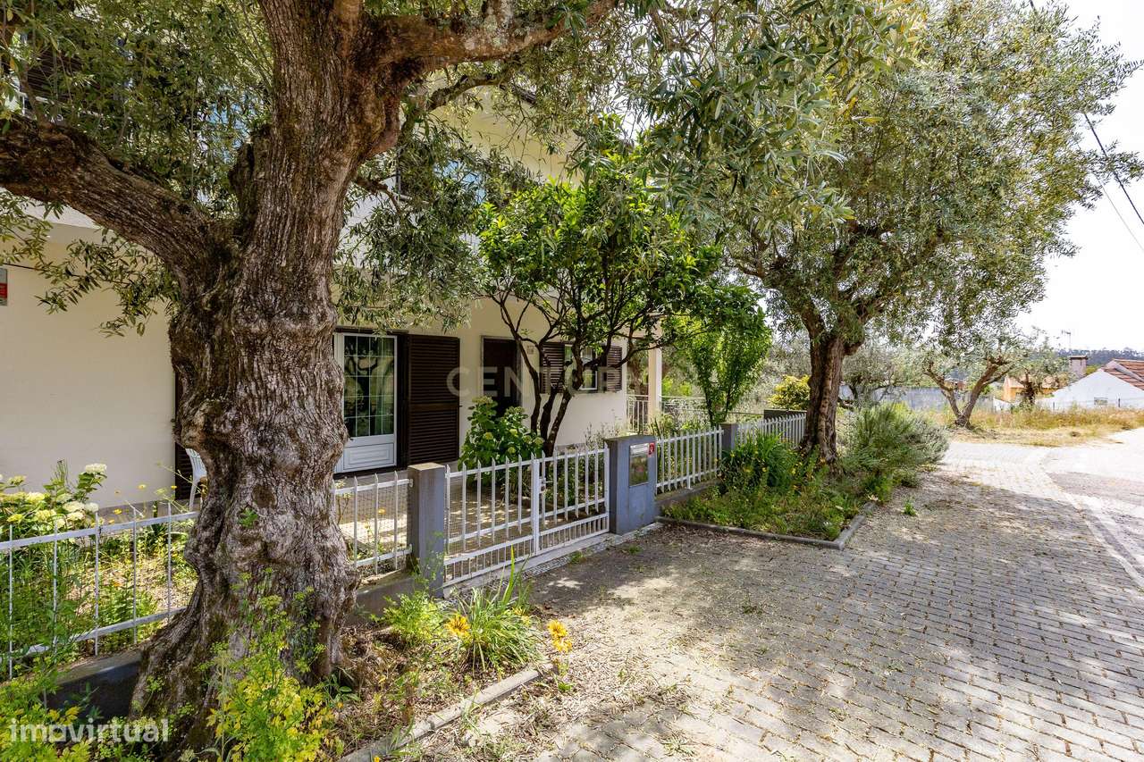 Encantadora moradia T-4 em Pipa, Vila Cã, Pombal - Oportunidade Única-37