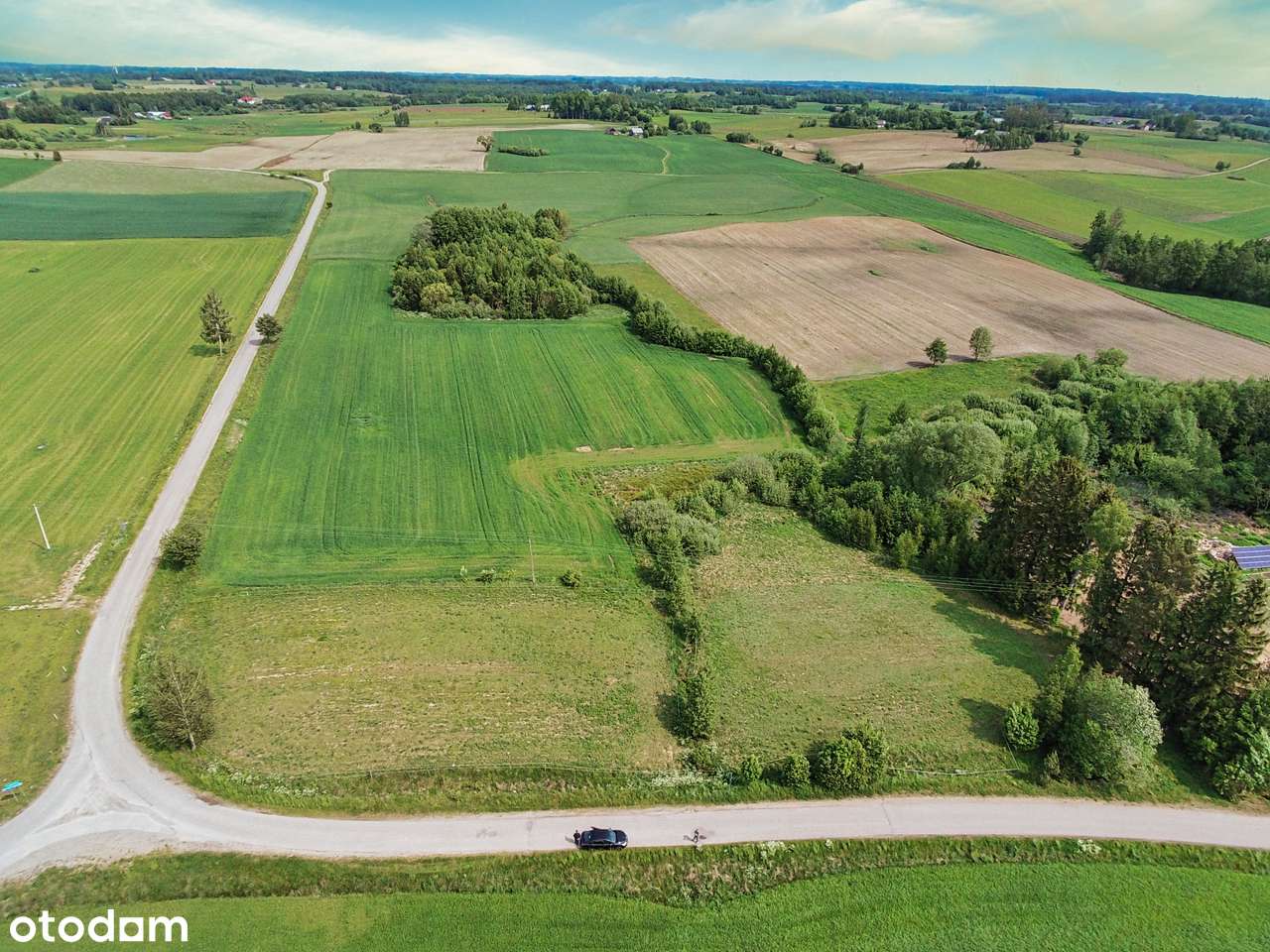 Działka pod zabudowę, Filipów – 2.7 ha. - Pełny obrazek: 4/4