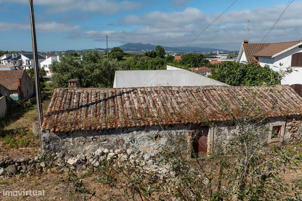 Moradia T2 em Ruína - Pêro Pinheiro - Grande imagem: 5/14