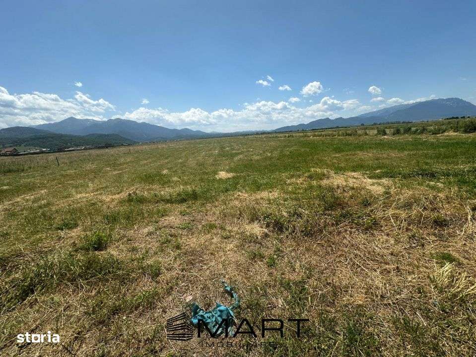 Teren Intravilan Rasnov 7.500 mp - Imagine principală: 5/11