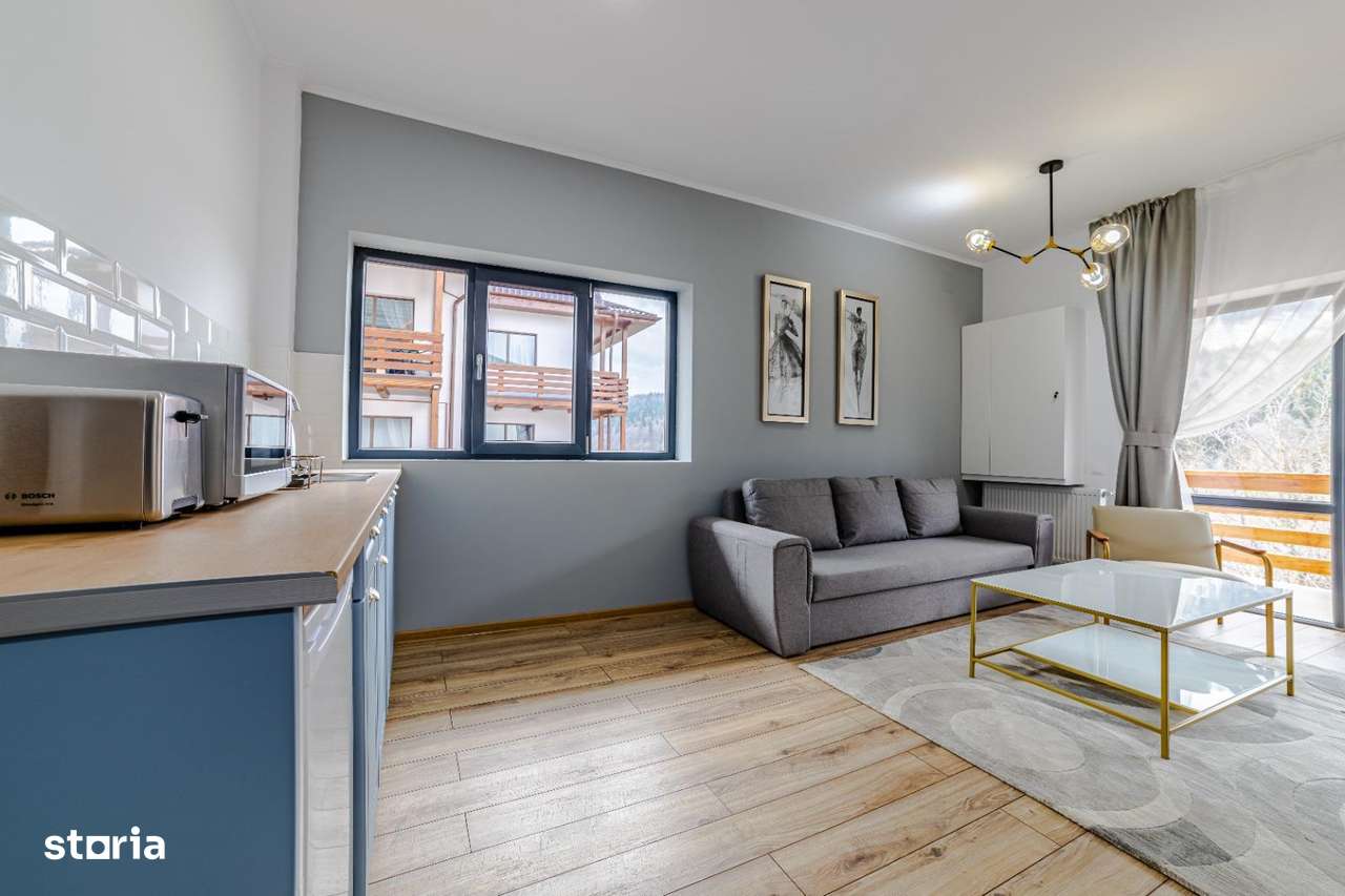Apartament cu vedere la munte - INVESTITIE IN TURISM-7