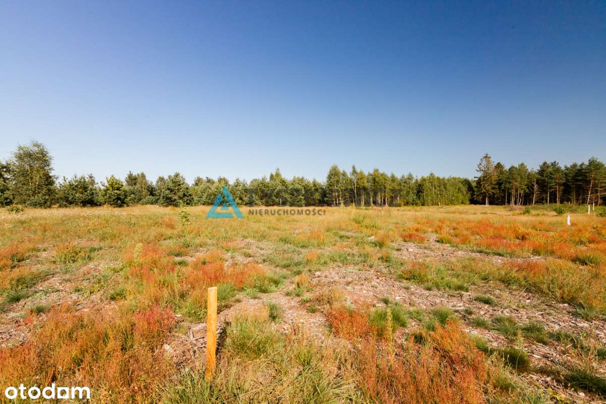 Działka Budowlana Z Warunkami Zabudowy - Pełny obrazek: 4/8