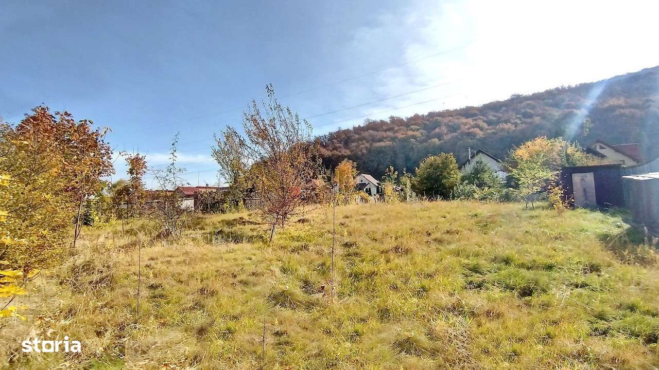 Teren Intravilan Bunloc - Imagine principală: 3/16