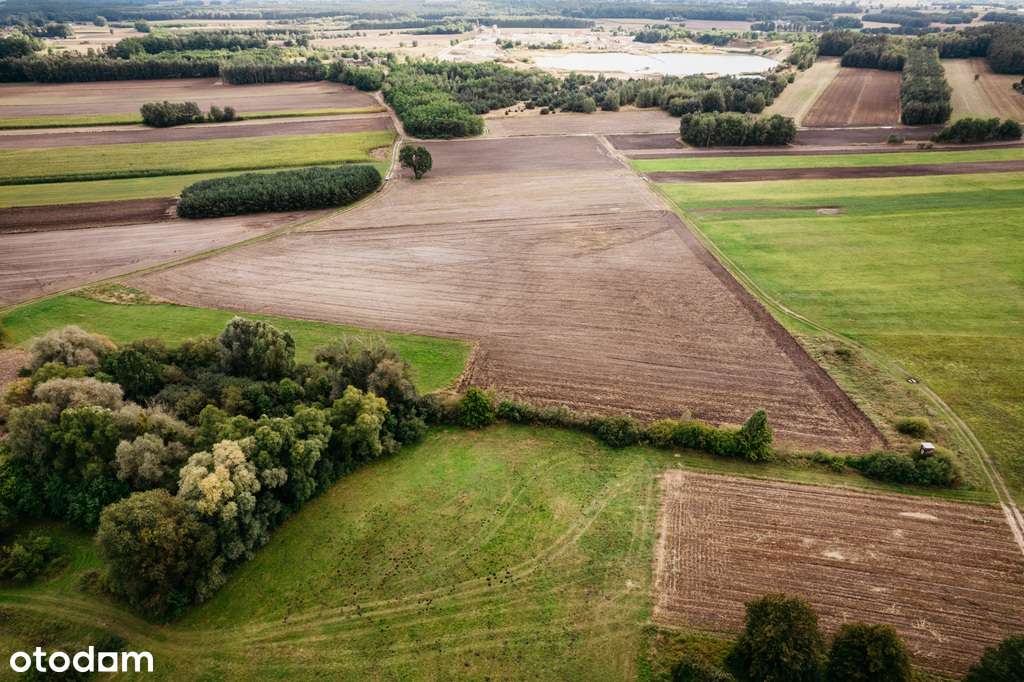 Działki Lisków - 6 dzialek do wyboru - Pełny obrazek: 4/7