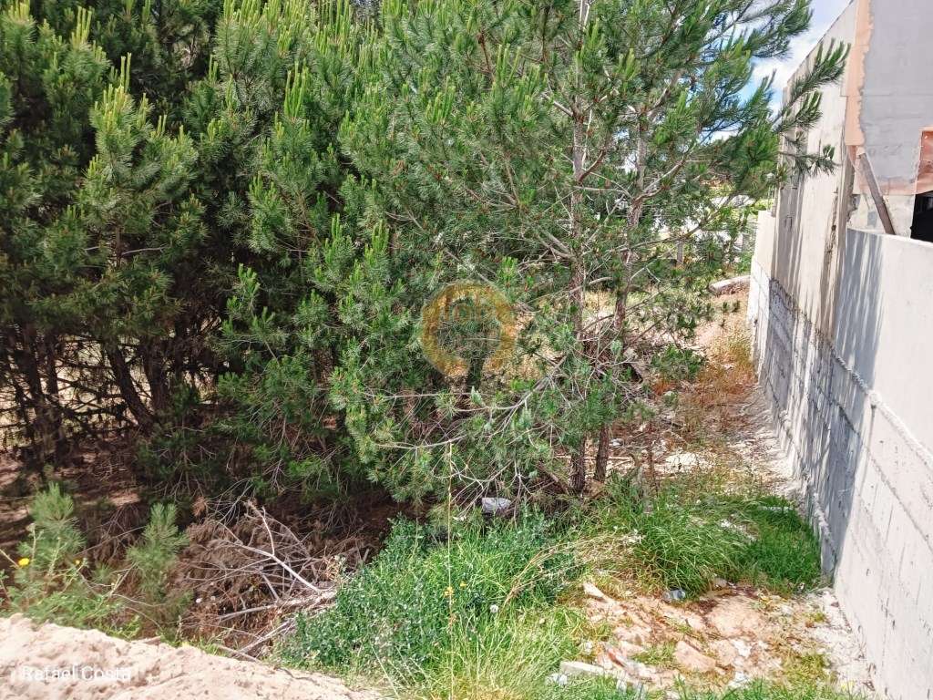 Terreno para construção situado na lagoa de albufeira - Grande imagem: 4/23